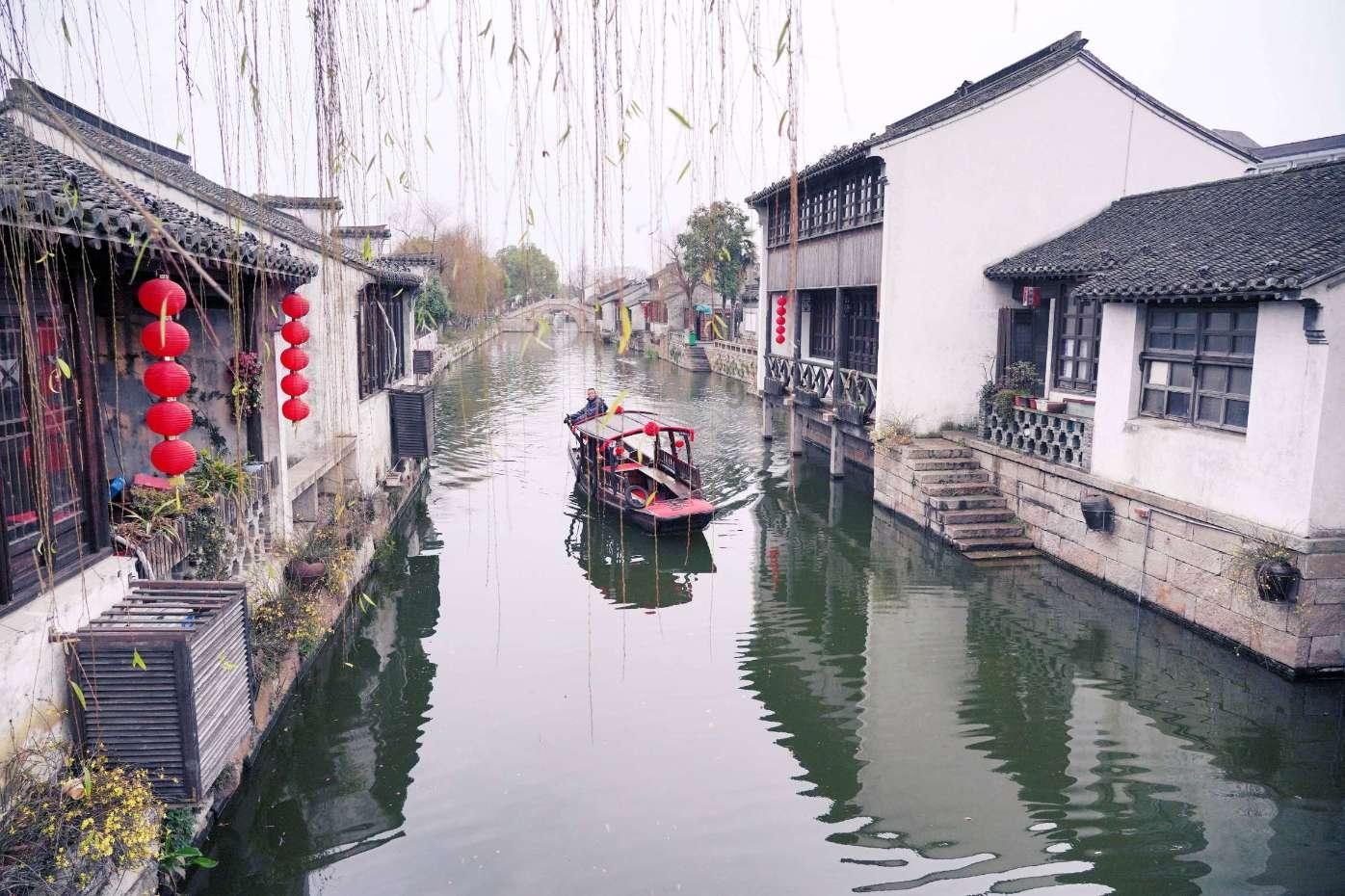 动物帮帮忙保卫家园