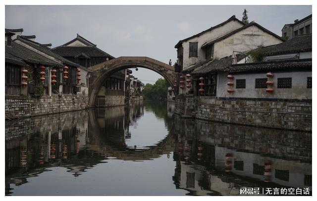 生化危机：浣熊市行动